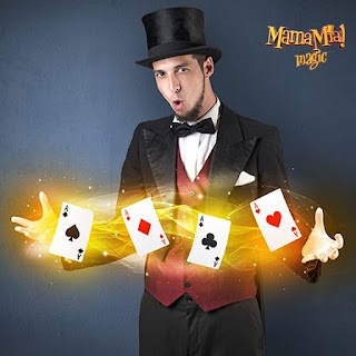 Booking a Magician: Questions to Ask Before You Make Your Decision