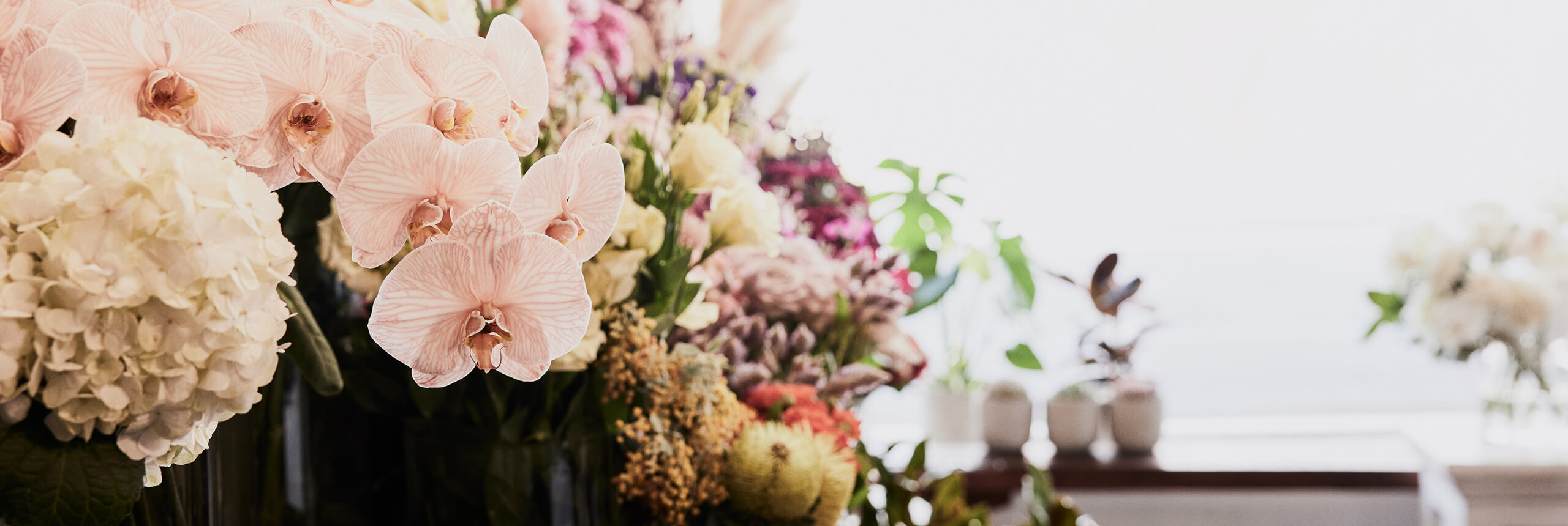 Same Day Flower Delivery Footscray I The Flower Shed