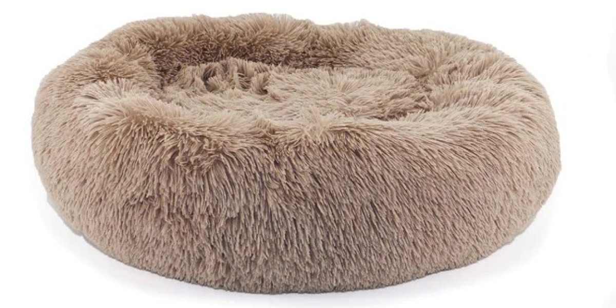 Why Investing in A Good Quality Dog Bed Is Crucial