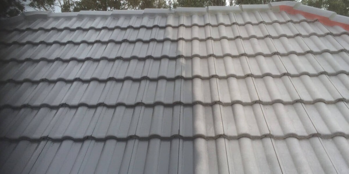 Protecting Your Investment: The Importance of Timely Roof Repairs in Sydney