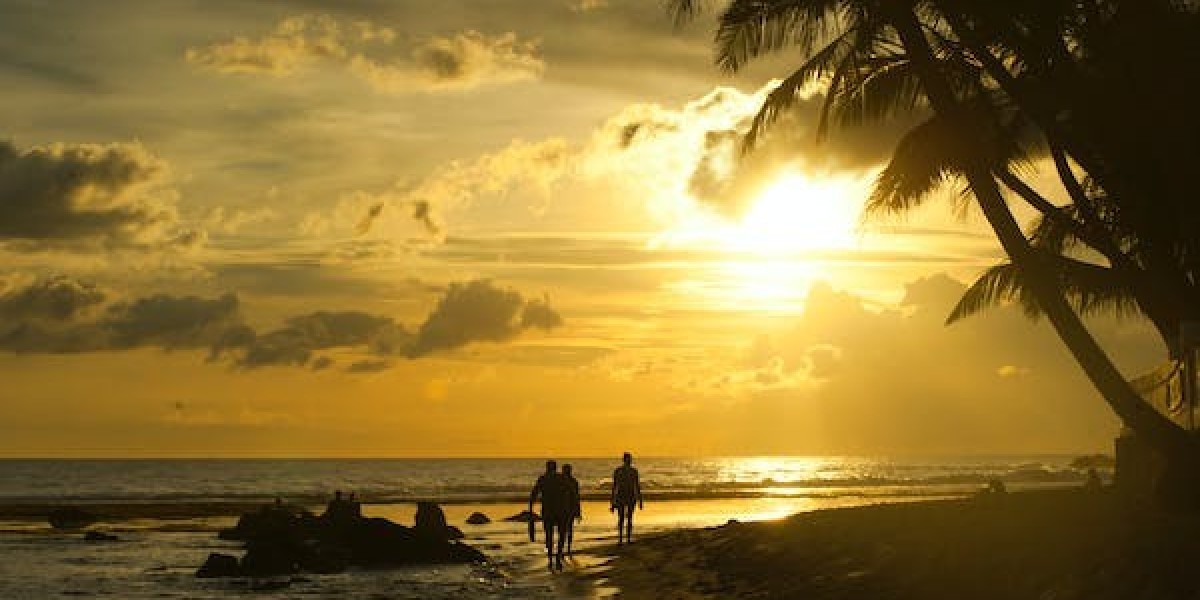 Unveiling the Allure of Miami, Florida
