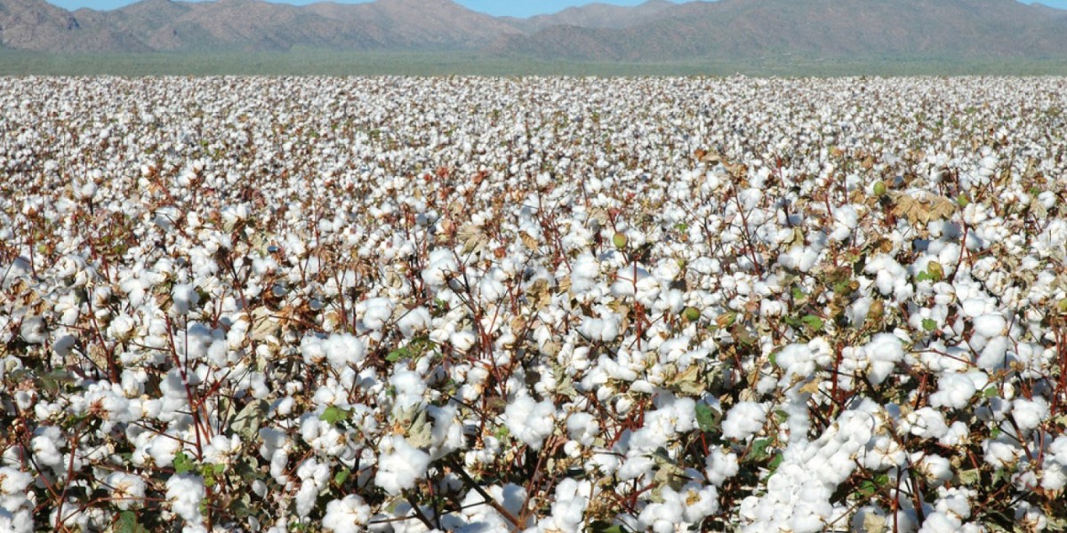 Why Is The Cotton Industry Known As The Footloose Industry?