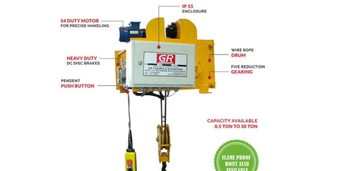 Wire Rope Electric Hoist manufacturers