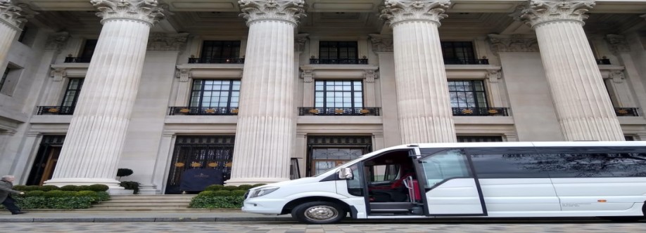 MINI BUSING Cover Image