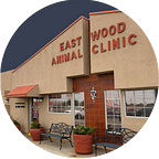 What Should You Do if Your Dog is Losing Their Hair? | by Eastwood Animal Clinic | Mar, 2024 | Medium