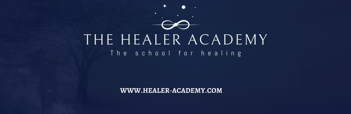 The Healer Academy Cover Image