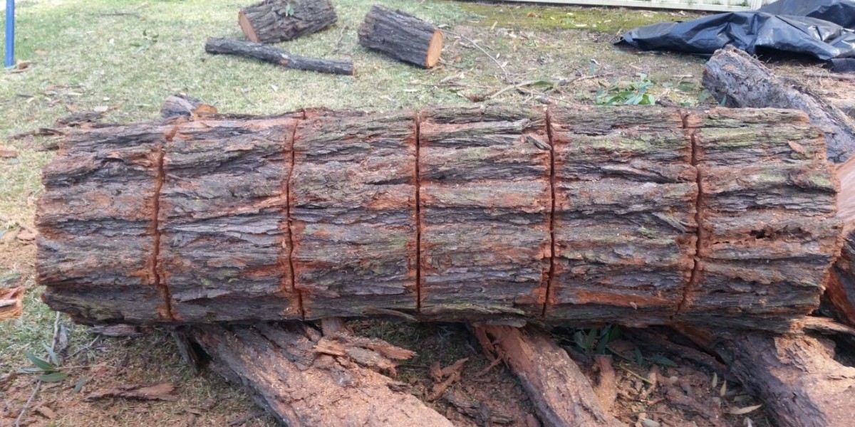 Protecting Your Property: Why Tree Removal is Essential in North Richmond