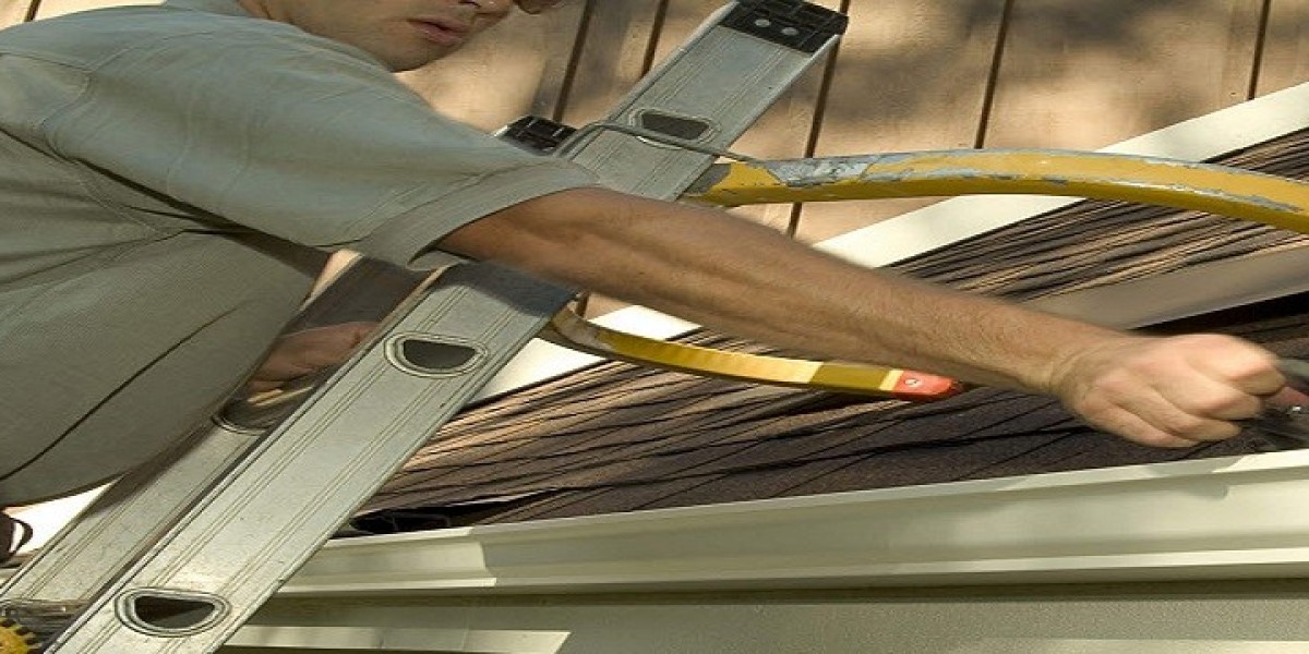 Protect Your Hunters Hill Home: The Importance of Regular Gutter Cleaning with the Experts