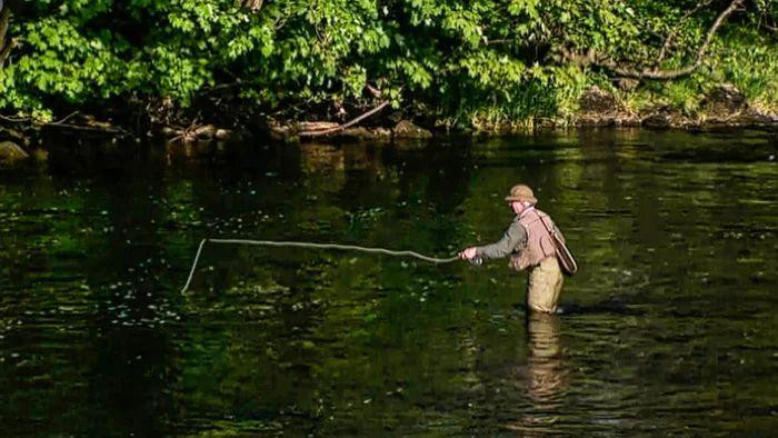 Mastering Trout Fly Tying: The Value of Learnflyfishing.net's Video Tutorials