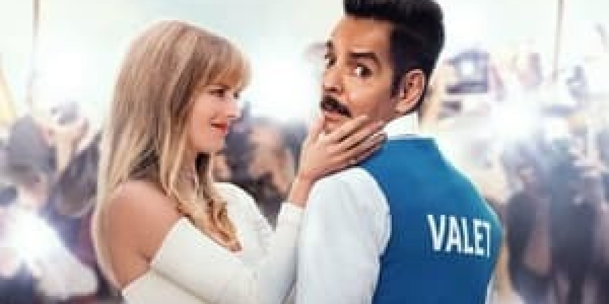 The Valet: A Hilarious French Comedy