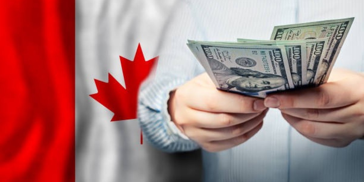 Smart Borrowing: Making the Most of Personal Loans in Canada