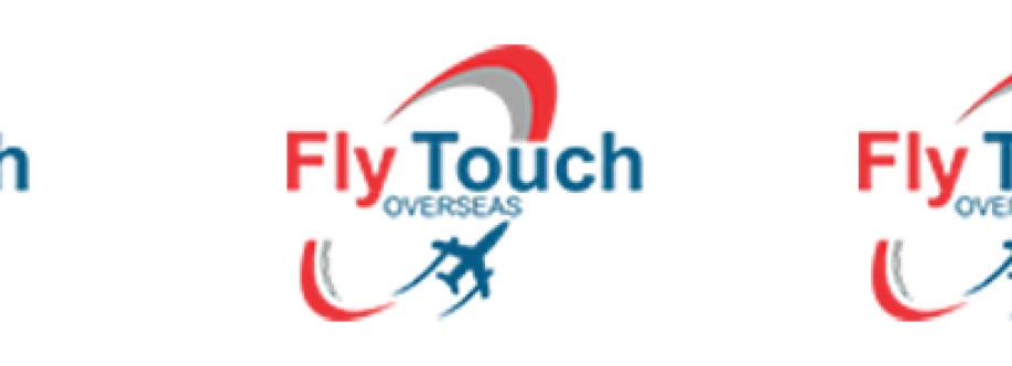fly touch Cover Image