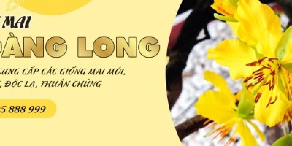 Mai Tiên Lão Giáng Trần Có Giá Thế Nào