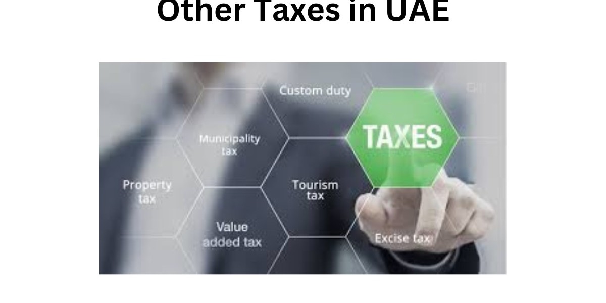 Navigating Other Taxes: A Comprehensive Guide to UAE Taxation