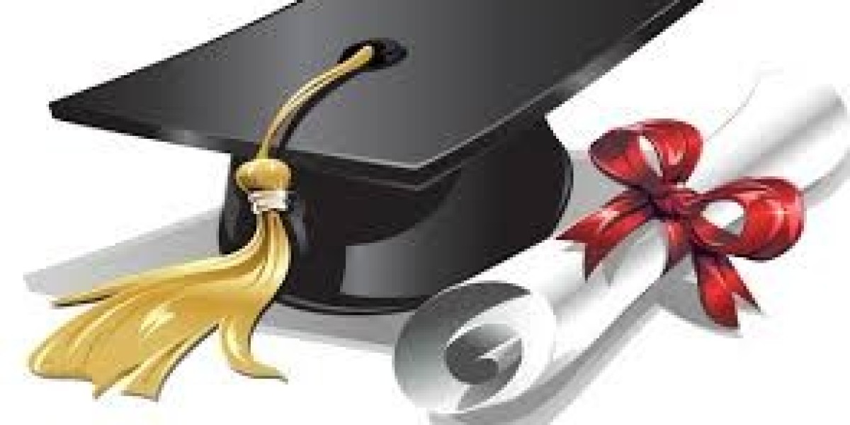 Unveiling the Power of Fellowship: A WsScholar4u Experience
