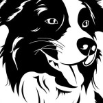 Eazy Dog Training Profile Picture