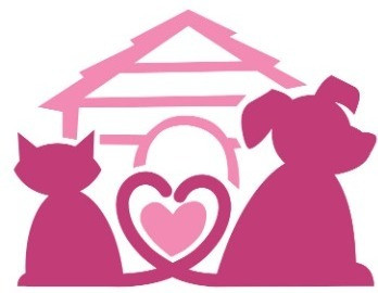 Pet Shop for a Cause in UAE | C & C Pawsome Shop