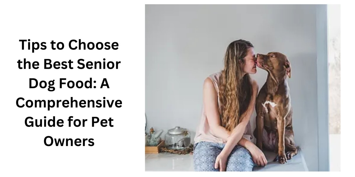 Tips to Choose the Best Senior Dog Food: A Comprehensive Guide for Pet Owners