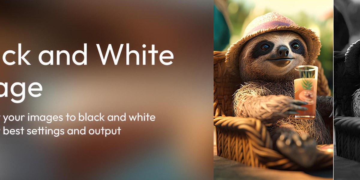 Unleash the Timeless Charm of Monochrome: Convert Images to Black and White