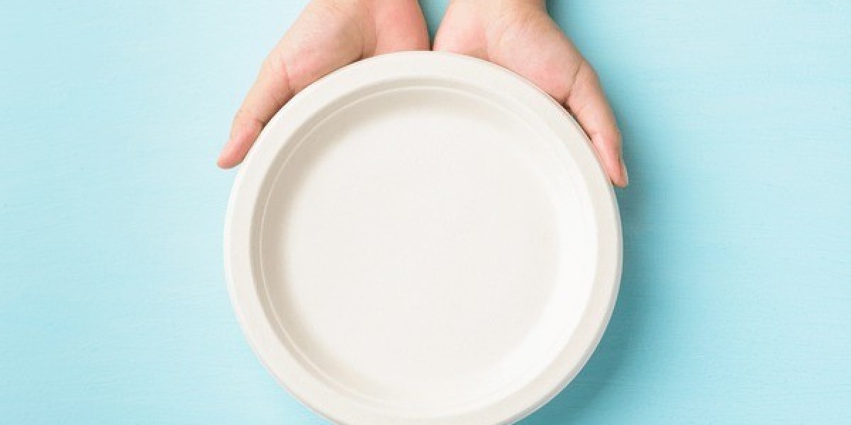 Project Report: Setting up a Disposable Plate Manufacturing Plant 2024