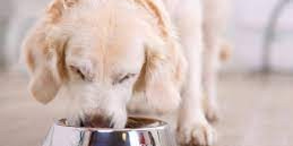Learn To (Do) THEPETSABOUT Like A Professional