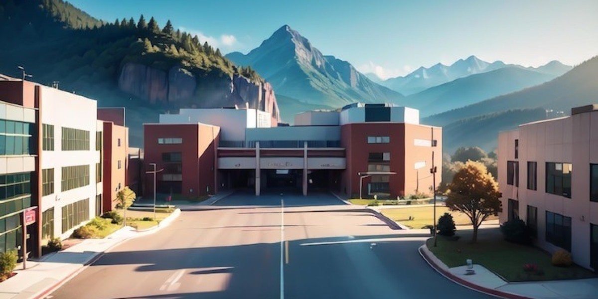 Unveiling Educational Excellence Top 5 Boarding Schools In Himachal Pradesh