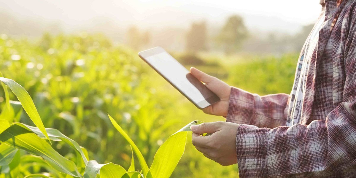 Choosing the Right Organic Farming Consultancy: Factors to Consider