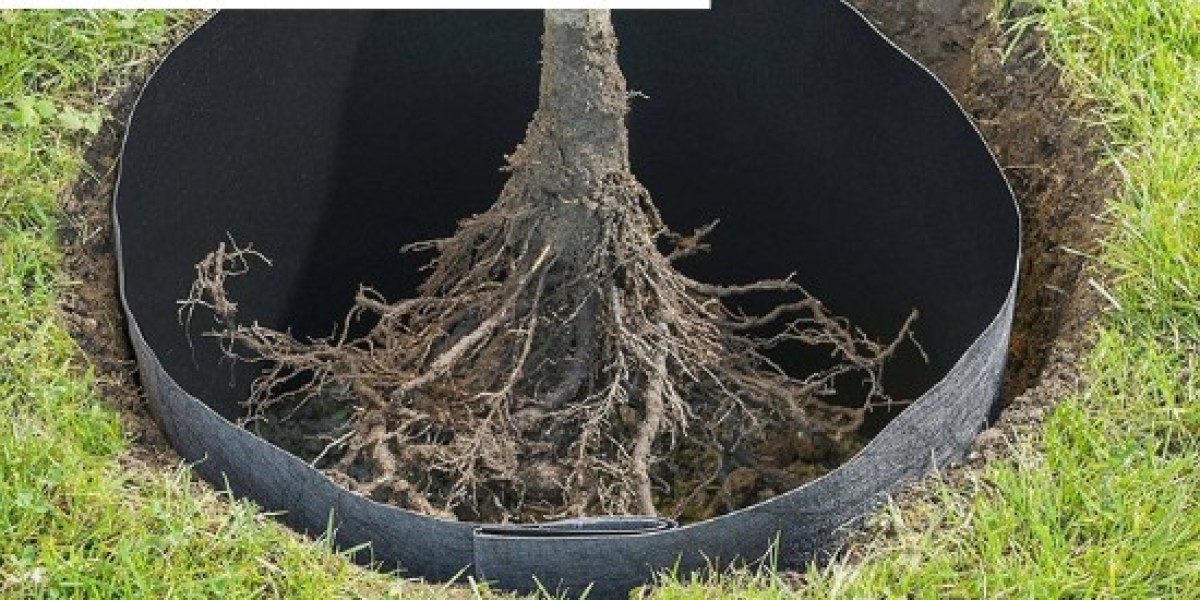 Unveiling the Benefits of HDPE Root Barrier: Protecting Infrastructure and Landscapes