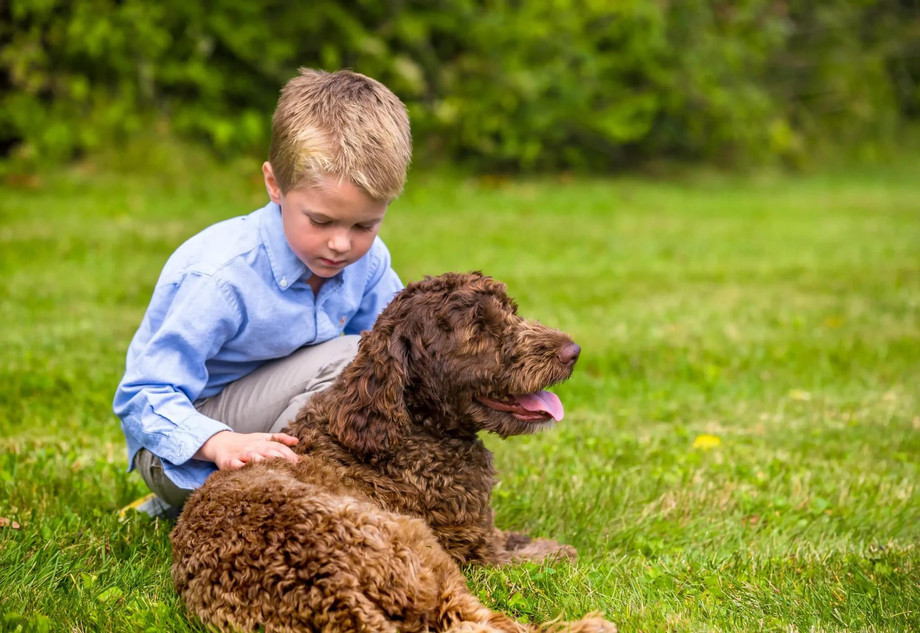 Innovative Pet Safety Solutions with Pet Stop's Invisible Dog Fence in Virginia Beach