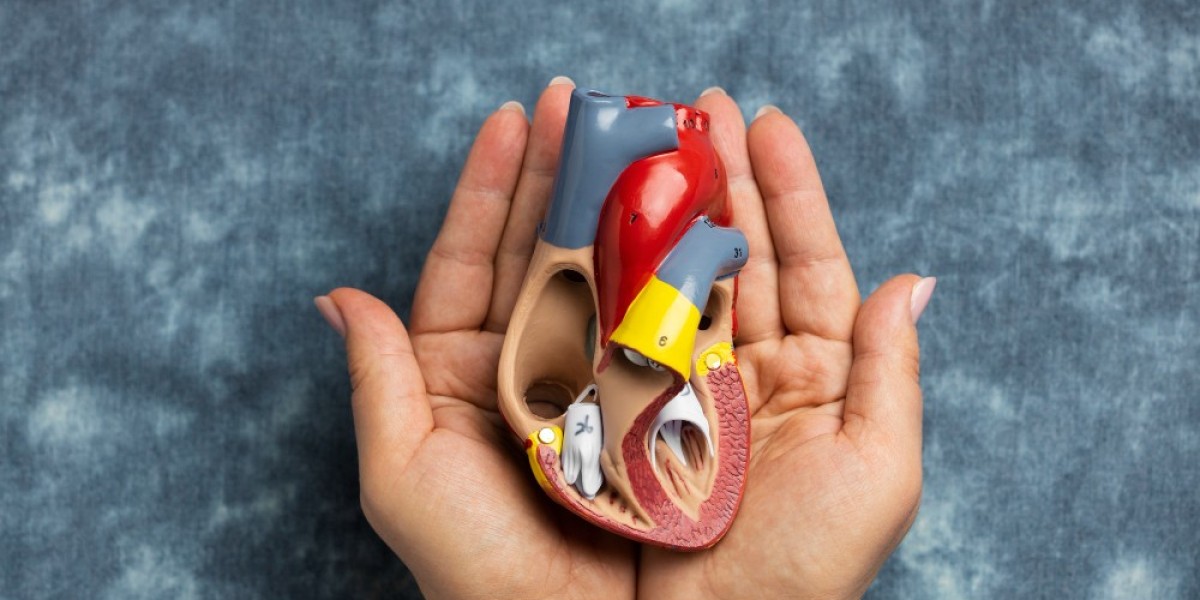 Empower Your Health: Transformative Self-Care Practices for Kidney Transplant Recipients