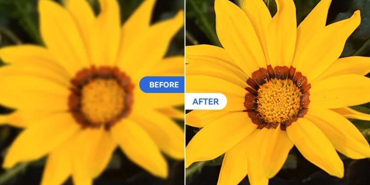  How AI Can Seamlessly Remove Blur from Photos Online: A Comprehensive Guide