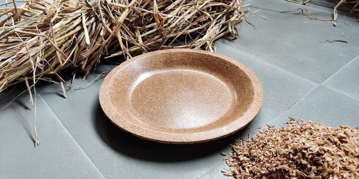 Rice Husk Based Biodegradable Disposable Cups and Plates Manufacturing Plant Report 2024: Detailed Business Analysis