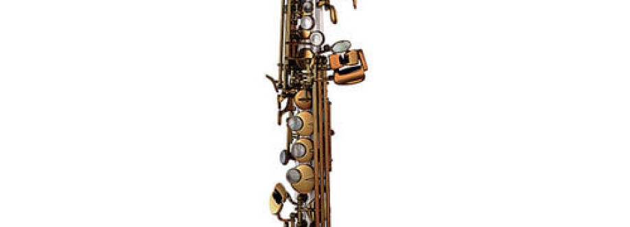 Old Dog New Saxophones Profile Picture