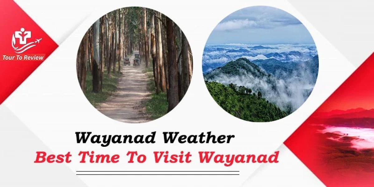 Exploring Wayanad: Finding the Best Time to Visit
