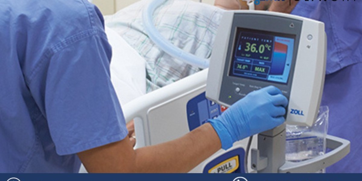 Patient Temperature Management Market  Size, Share, Trends, Growth 2024-2032
