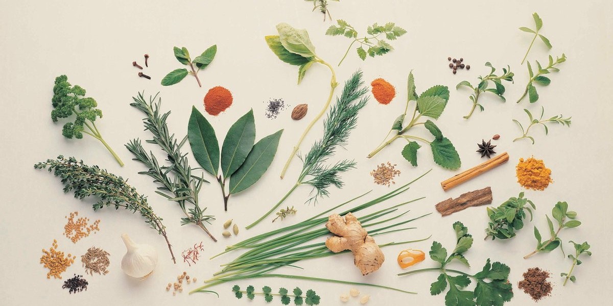 From Ayurveda to Modern Medicine: The Global Appeal of Medicinal Plant Extracts (2024 Regional Analysis)