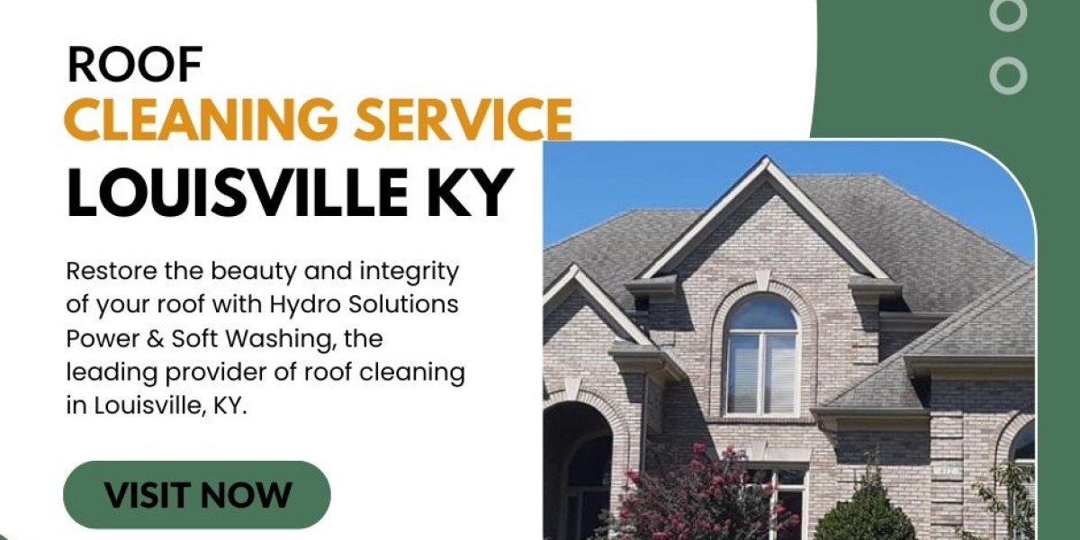 Revitalize Your Home: The Importance of Roof Cleaning Service in Louisville, KY