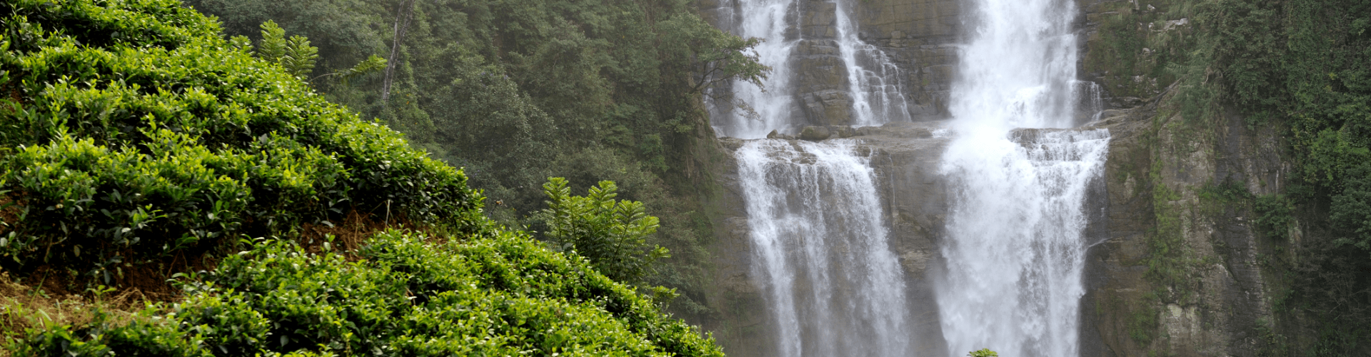 Bangalore To Coorg Package | 2 Days Trip To Coorg From Bangalore