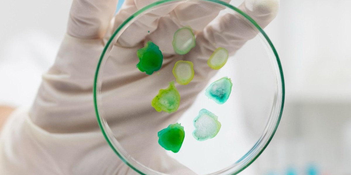 The Synergy of Regenerative Health and Medicine: A Path to Holistic Wellness