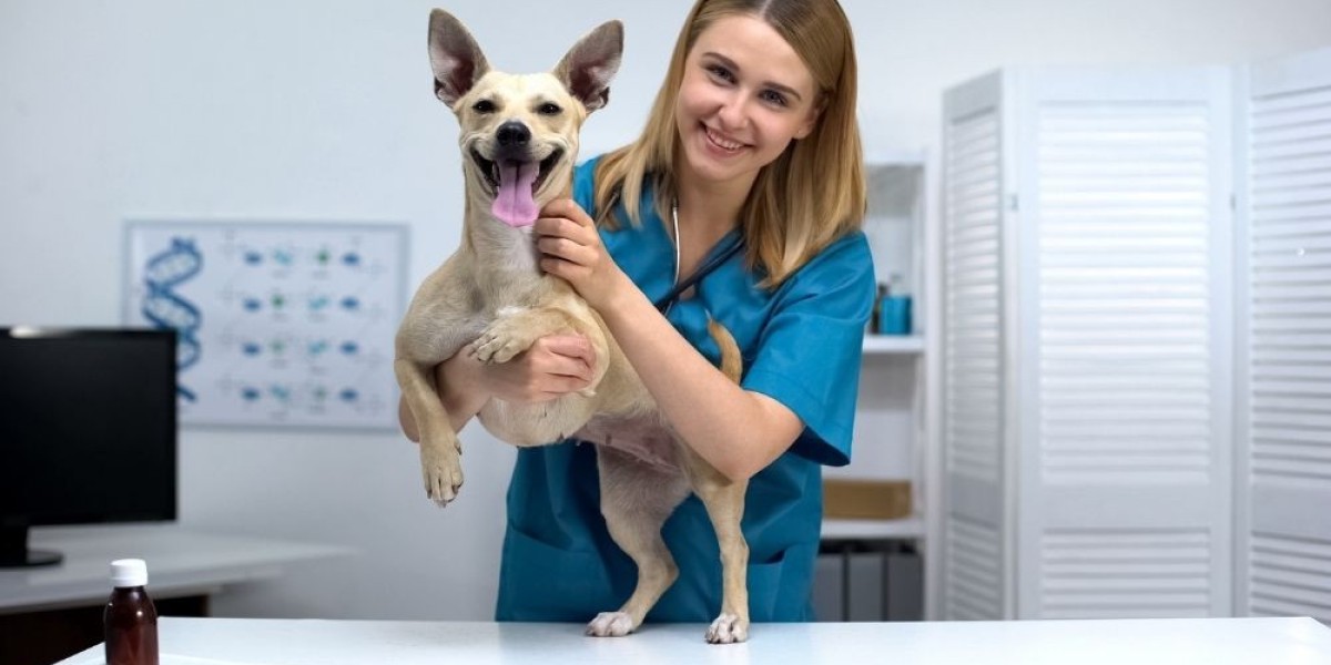 Vetson Healthcare: Pioneering Veterinary PCD Pharma Solutions in India