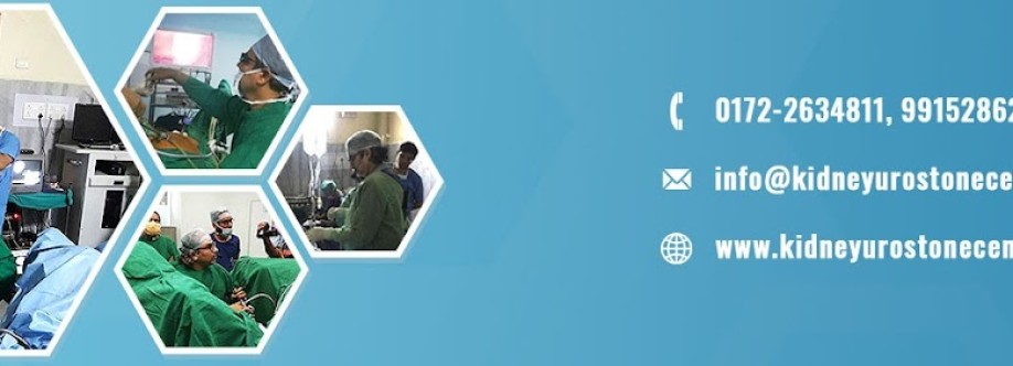 Kapoors Kidney  Urostone Centre Profile Picture
