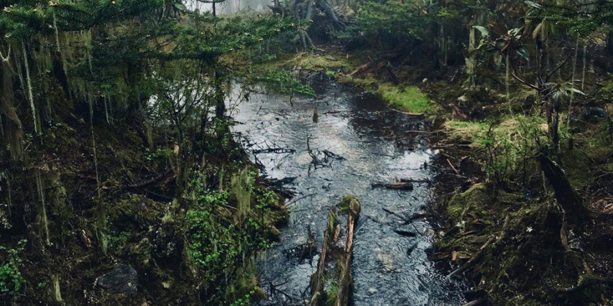 Gear Up for the Outdoors: Essential Clothing for Every Season
