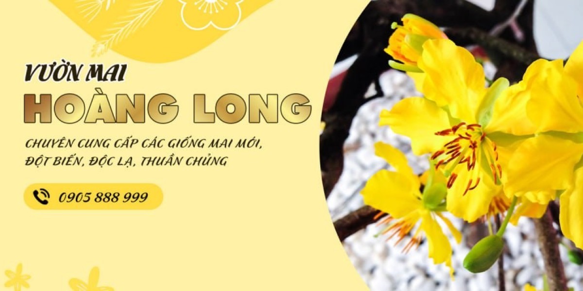 Kinh Doanh Mai Vào Dịp Tết Lỗ Hay Lãi