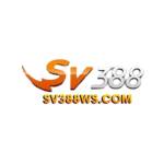 SV388 WSCOM Profile Picture