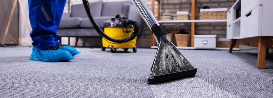 Sydneys Choice Cleaning Cover Image