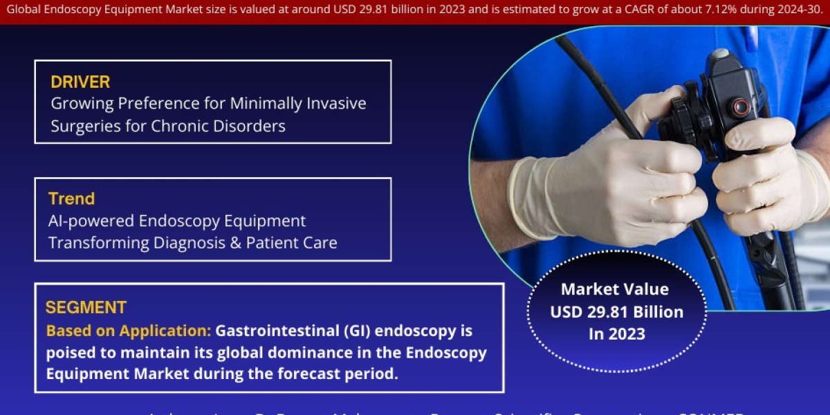 Global Endoscopy Equipment Market Growth, Size, Share, Trends, Report and Forecast 2024-2030