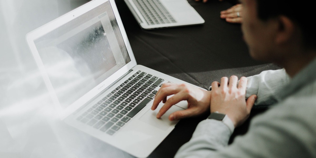 Freelance WordPress Developers: Pros and Cons
