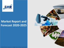 Latin America Protein Supplement Market Analysis 2024-2032