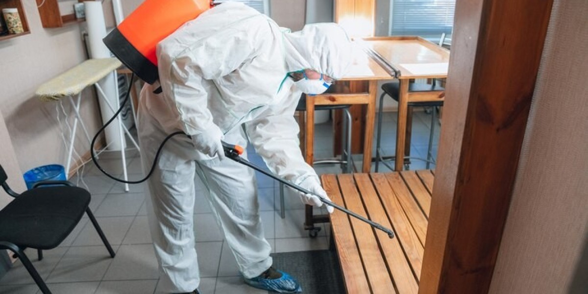 Fly Control Solutions in Granville: Pro Oz Pest & Services