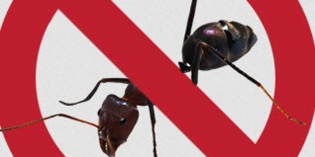 Sydney Pest Control Trends Managing Cockroach Infestations